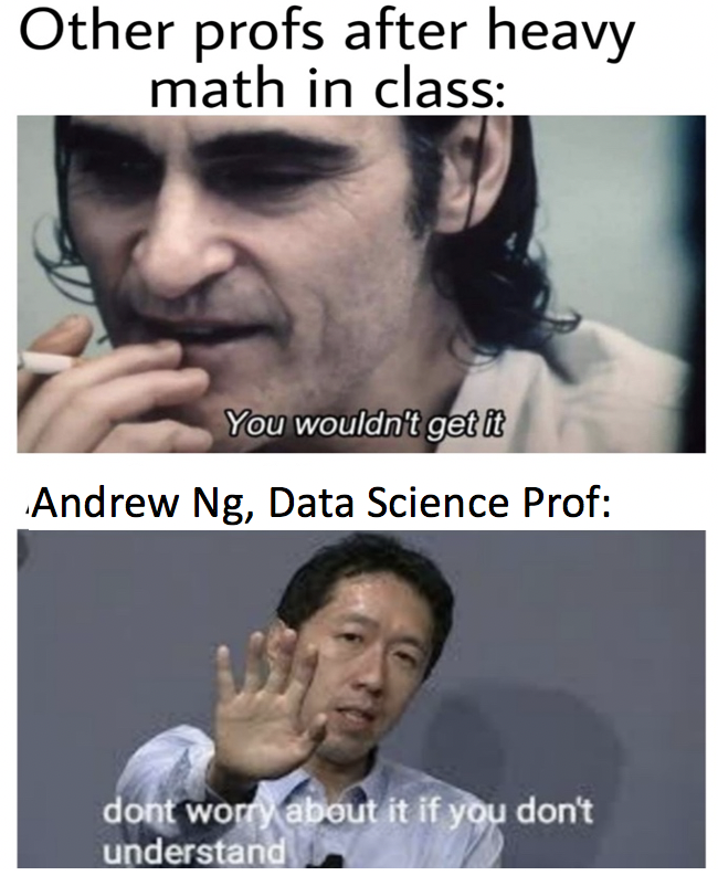 Andrew Ng meme